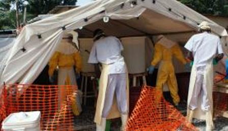 Aprovado uso de tratamentos experimentais no combate ao ebola